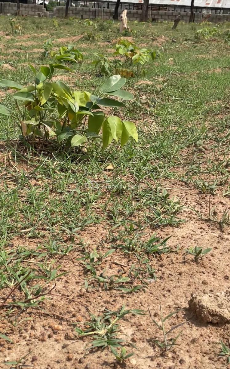 1,538sqm, Residential, C of O, Tarred Road, Life Camp, Dape, Abuja, Residential Land for Sale