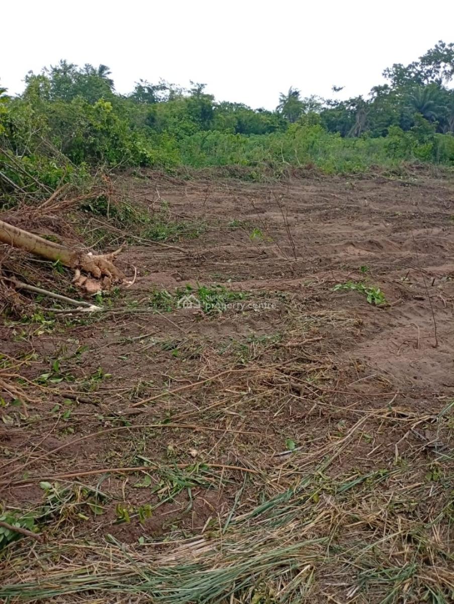 Owo Cocoa and Owo Epo, Obafemi Owode, Ogun, Land for Sale