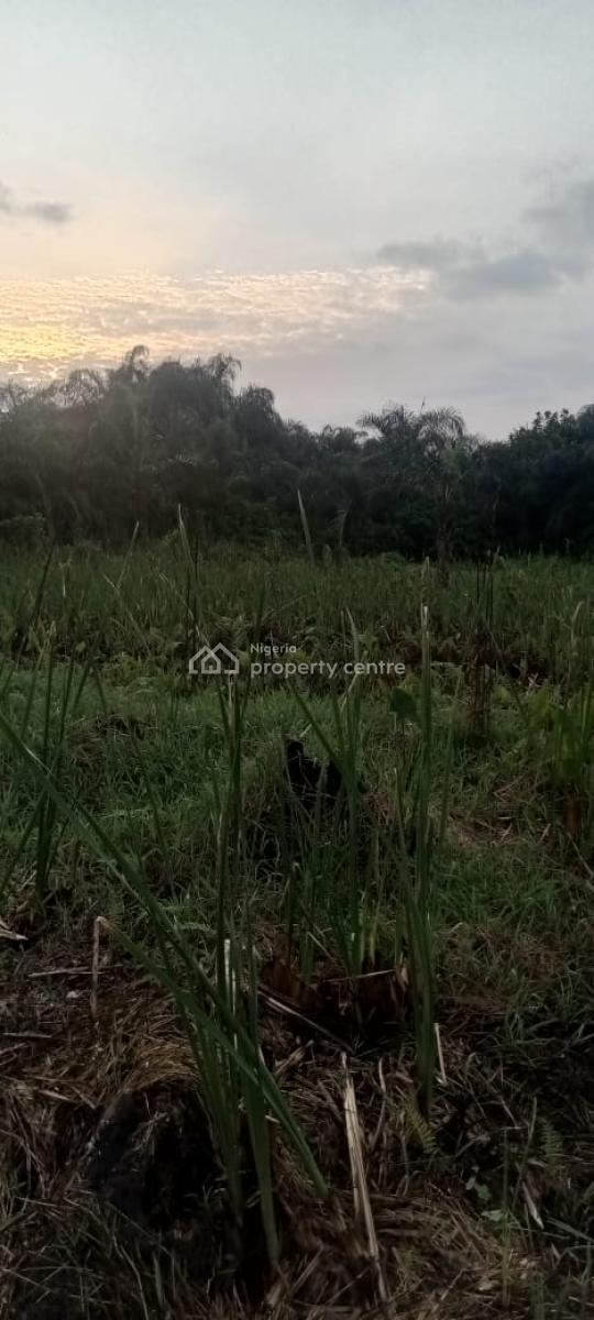 Appreciating Full Plot of Land with Registered Survey, Lasu/isheri Road, Ikotun, Lagos, Residential Land for Sale