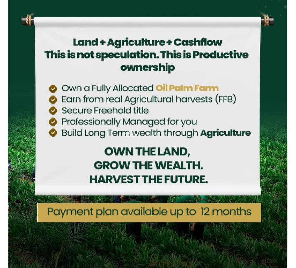 Agric Investment Palm Oil 3000 Sqm Mega Farm  Land, Nova Mega Farm Imala-anigbado, Abeokuta North, Ogun, Land for Sale