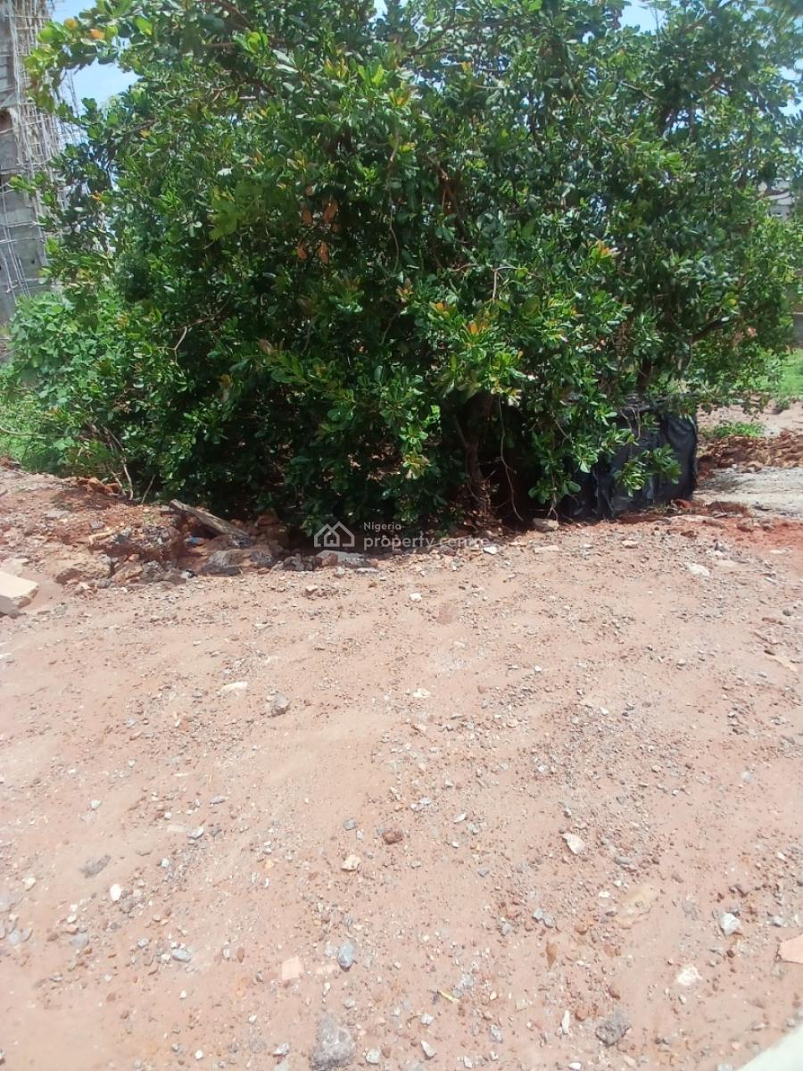 Residential Plot of Land, Asokoro Abuja Diplomatic Zone, Asokoro District, Abuja, Residential Land for Sale