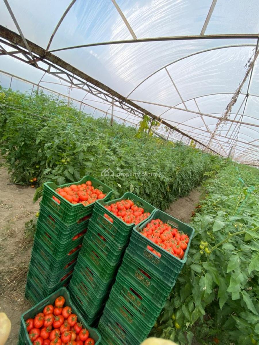 Own Fertile Farmland with Cofo Today,invest in Your Future, Arcview Farm Estate,shagamu Interchange, Obafemi Owode, Ogun, Commercial Land for Sale