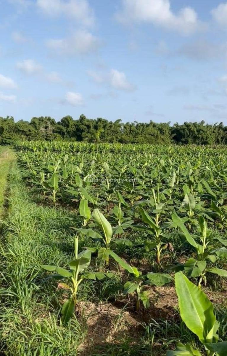 Own Fertile Farmland with Cofo Today,invest in Your Future, Arcview Farm Estate,shagamu Interchange, Obafemi Owode, Ogun, Commercial Land for Sale