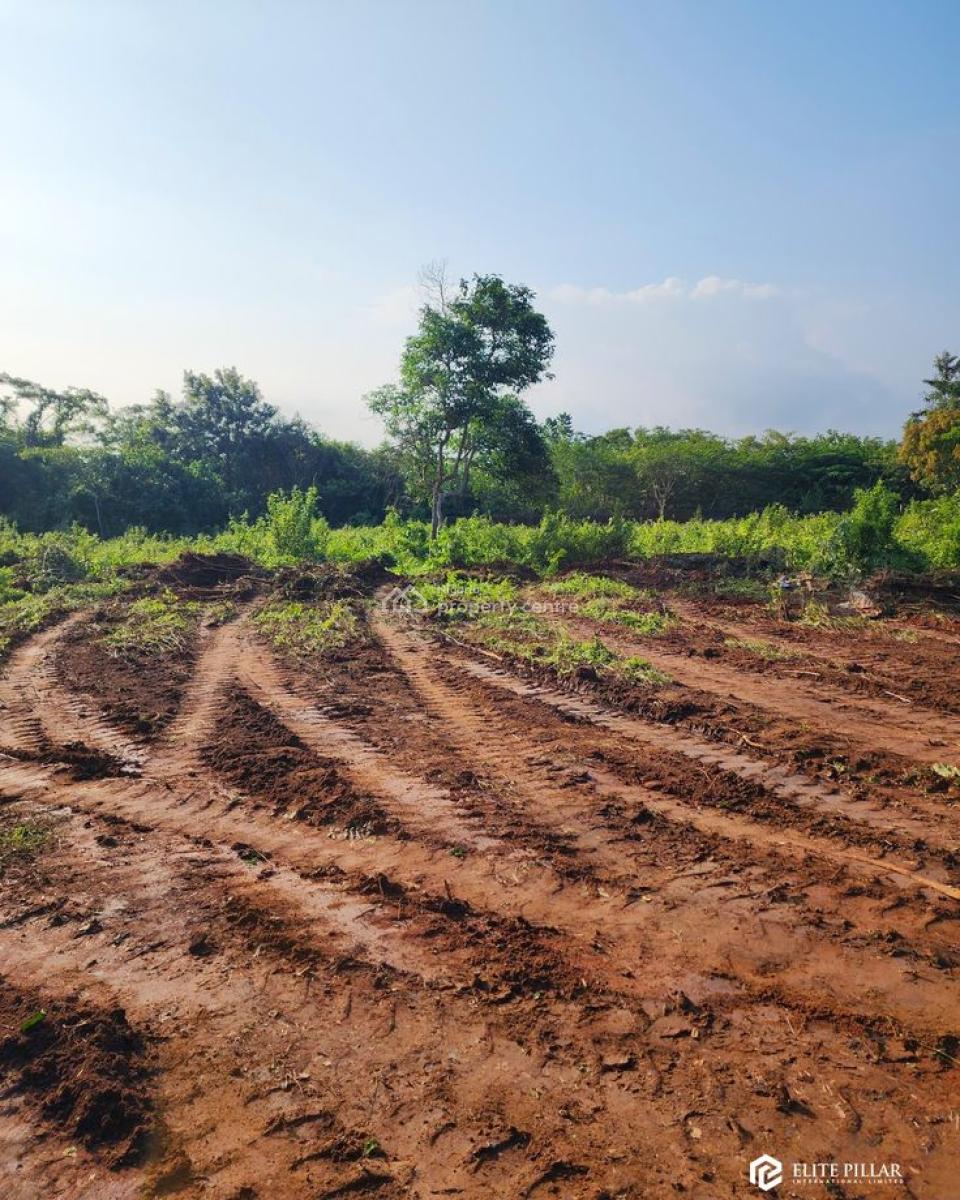 Own Fertile Farmland with Cofo Today,invest in Your Future, Arcview Farm Estate,shagamu Interchange, Obafemi Owode, Ogun, Commercial Land for Sale