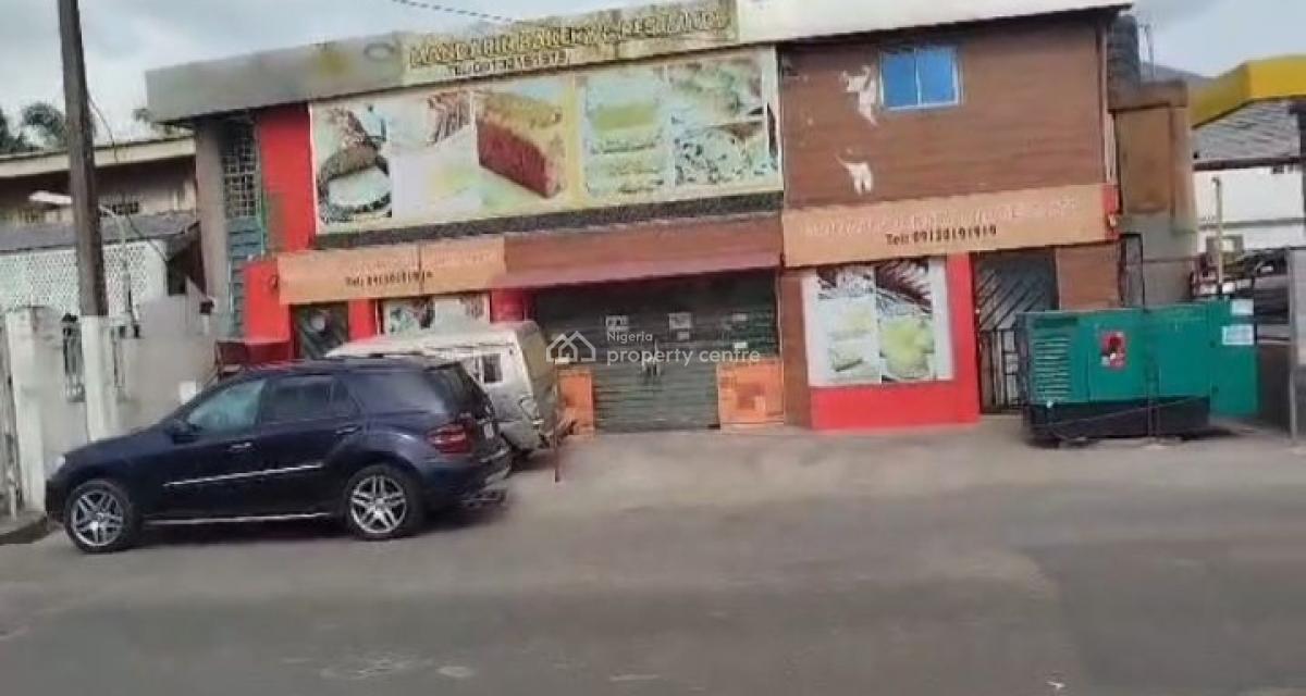 a Business Plaza Sitting on 220sqm Land, Directly on Osolo Way, By Domino Pizza and Close to Answani, Isolo, Lagos, Plaza / Complex / Mall for Sale