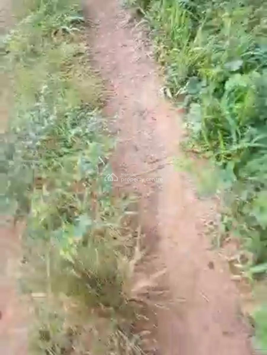 560 Sqm of Land, Uba Cooperative, Igbowaju, Simawa, Ogun, Land for Sale