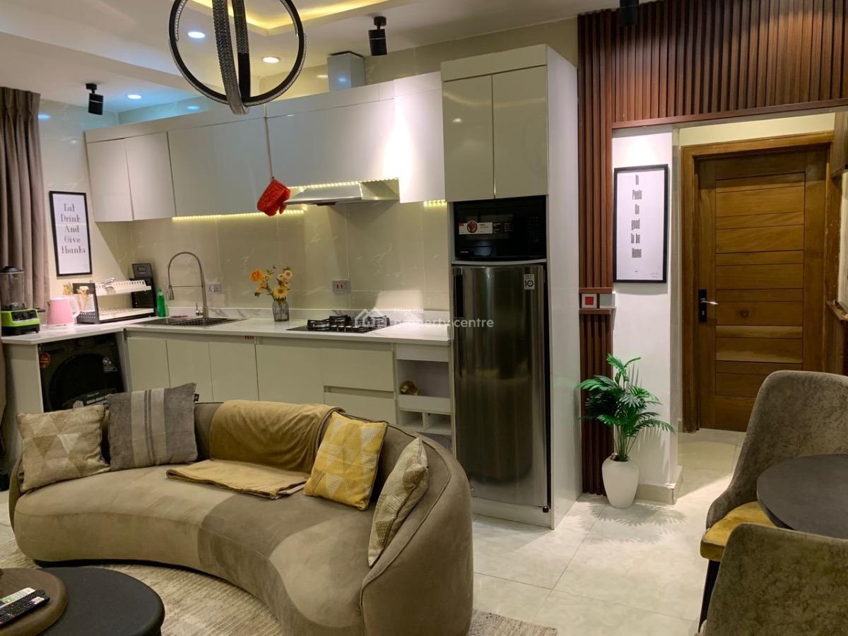 Fully Furnished One Bedroom Apartment with Swimming Pool, Ikate, Lekki, Lagos, Mini Flat (room and Parlour) for Rent