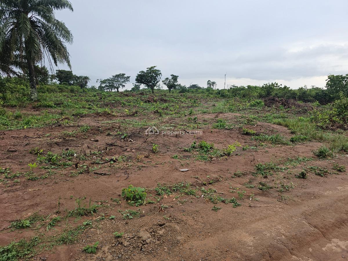 Exclusive  Farmland, Jaiye Farms,  Okeye Isiwo, Ijebu Ode, Ogun, Mixed-use Land for Sale