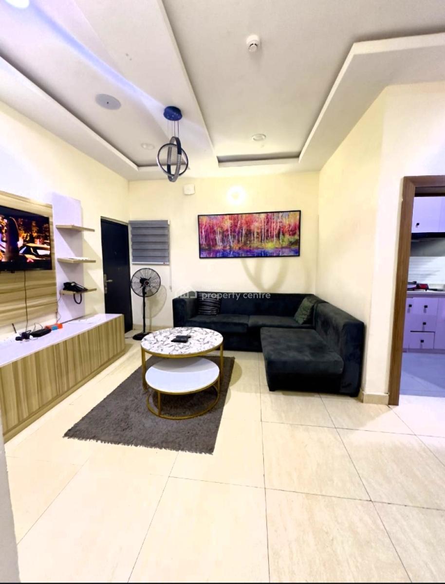 Fully Furnished and Well Serviced Luxury 2 Bedroom Apartment, Off Bode Thomas, Surulere, Surulere, Lagos, Flat / Apartment Short Let