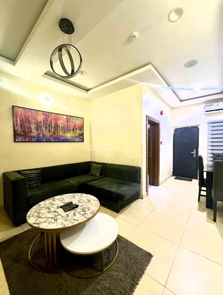 Fully Furnished and Well Serviced Luxury 2 Bedroom Apartment, Off Bode Thomas, Surulere, Surulere, Lagos, Flat / Apartment Short Let