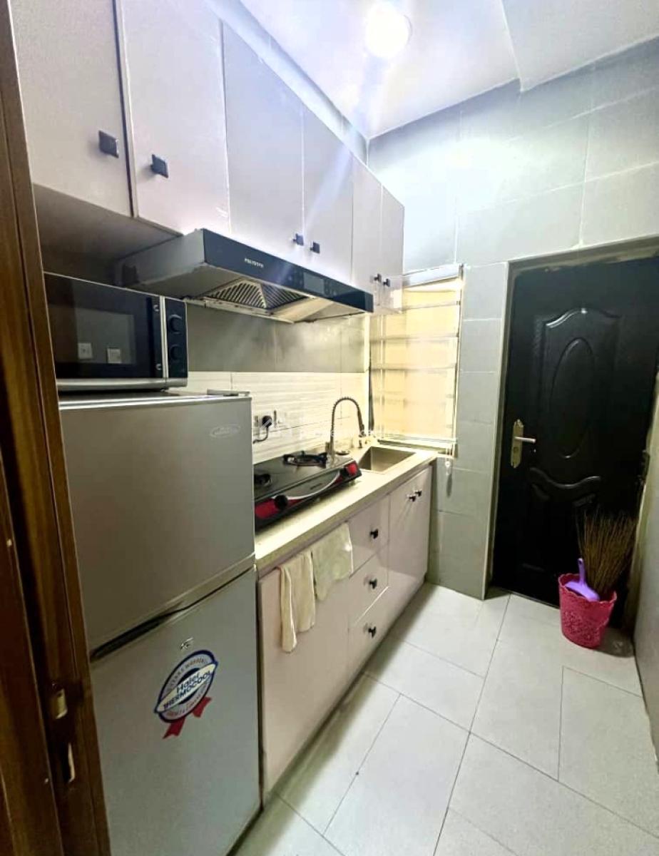 Fully Furnished and Well Serviced Luxury 2 Bedroom Apartment, Off Bode Thomas, Surulere, Surulere, Lagos, Flat / Apartment Short Let