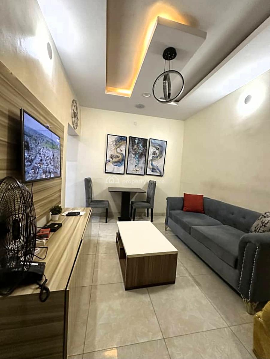Well Furnished and Serviced Luxury 1 Bedroom Apartment, Off Bode Thomas, Surulere, Surulere, Lagos, Mini Flat (room and Parlour) Short Let