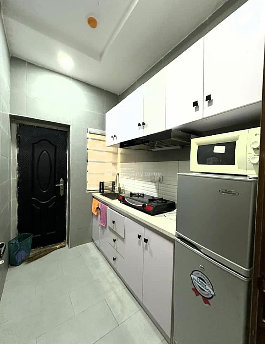 Well Furnished and Serviced Luxury 1 Bedroom Apartment, Off Bode Thomas, Surulere, Surulere, Lagos, Mini Flat (room and Parlour) Short Let
