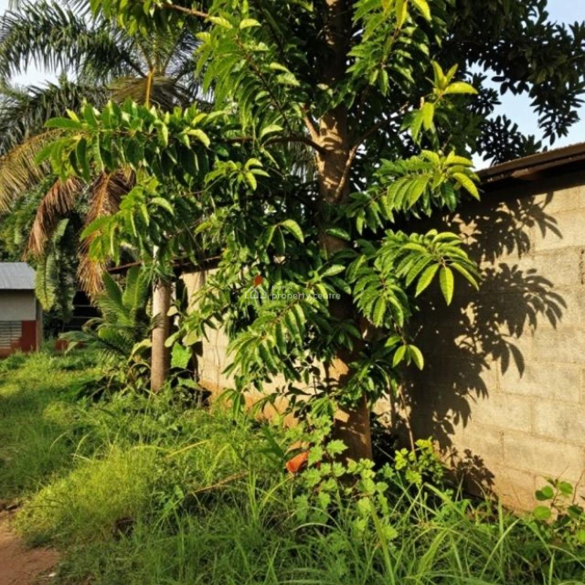 Empty Land on Half Plot at Igbogbo, Igbogbo Ire Ifelodun Community Ikorodu, Ikorodu, Lagos, Residential Land for Sale