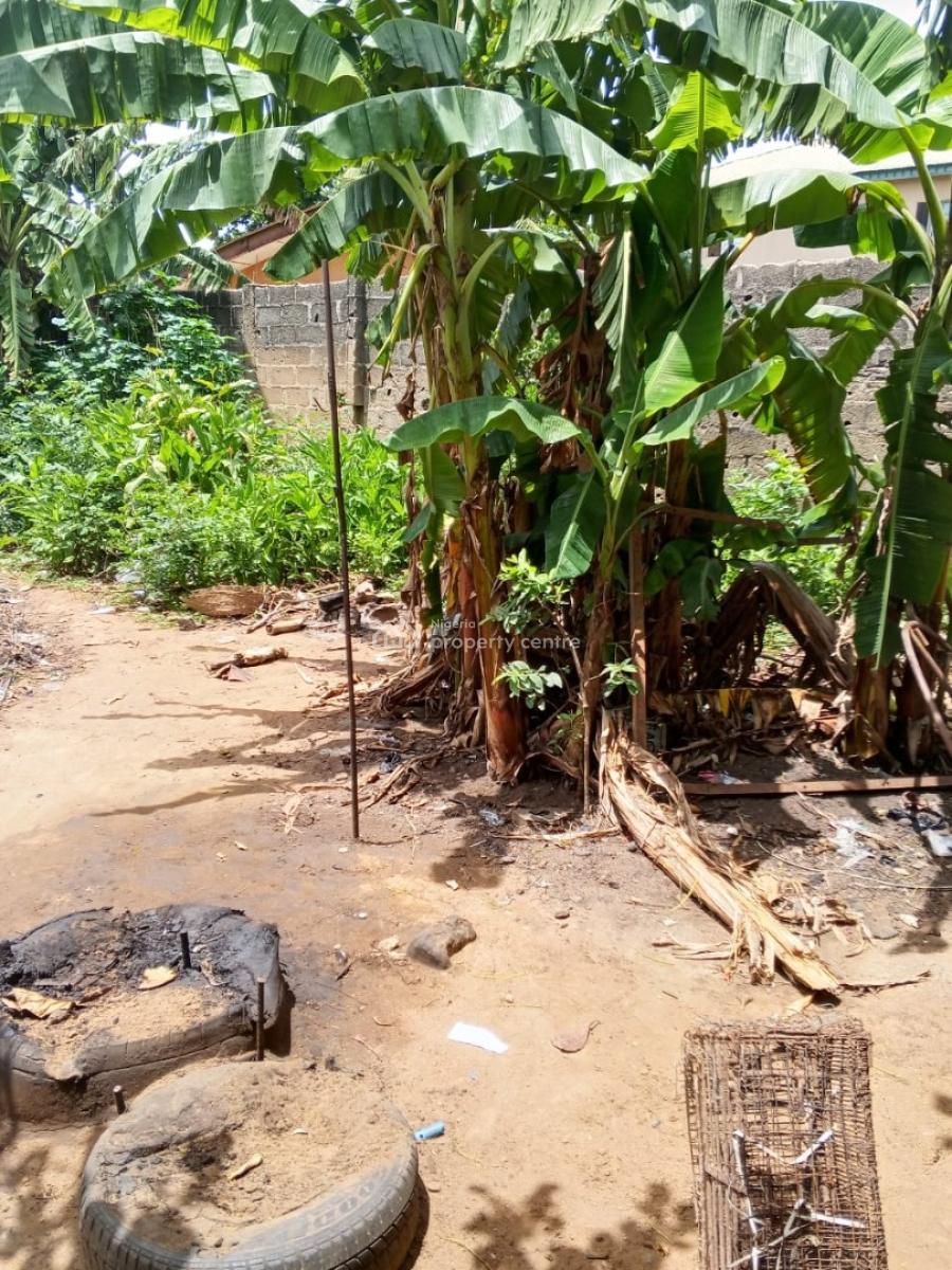 a Full Plot of Land in a Serene Environment, Ewedongon, Lasu Igando Expressway, Akesan, Akesan, Alimosho, Lagos, Land for Sale