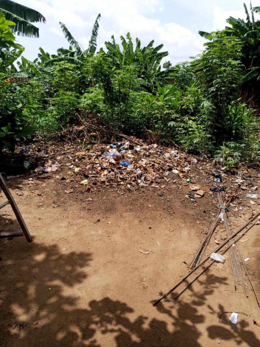 a Full Plot of Land in a Serene Environment, Ewedongon, Lasu Igando Expressway, Akesan, Akesan, Alimosho, Lagos, Land for Sale
