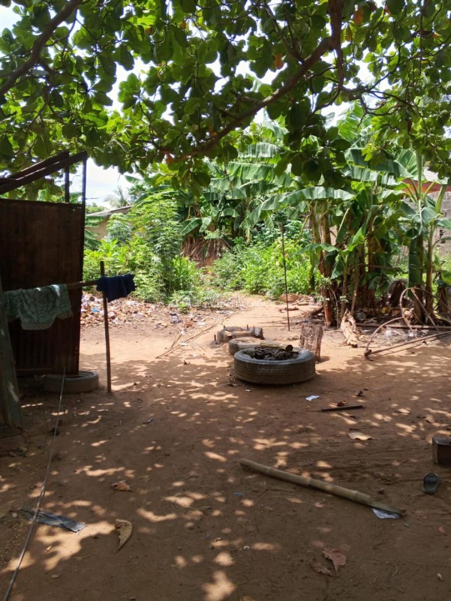 a Full Plot of Land in a Serene Environment, Ewedongon, Lasu Igando Expressway, Akesan, Akesan, Alimosho, Lagos, Land for Sale