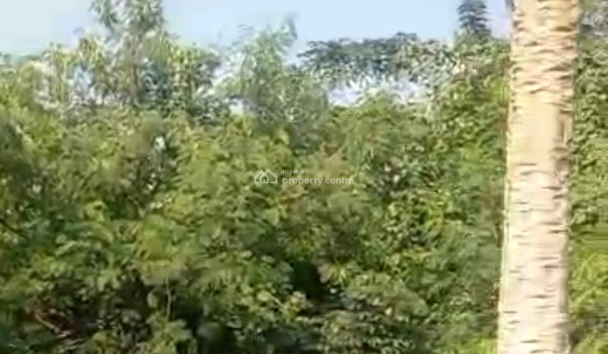 2000sqm Empty Land, Kudirat Abiola Way, Oregun, Ikeja, Lagos, Land for Sale