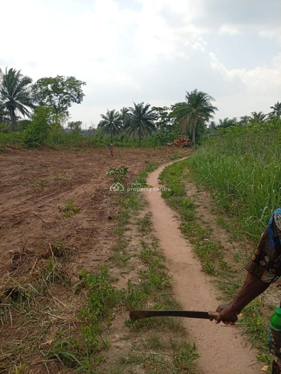 Invest in Wealth. Own a Farm. We Manage Everything, Obafemi Owode, Ogun, Commercial Land for Sale
