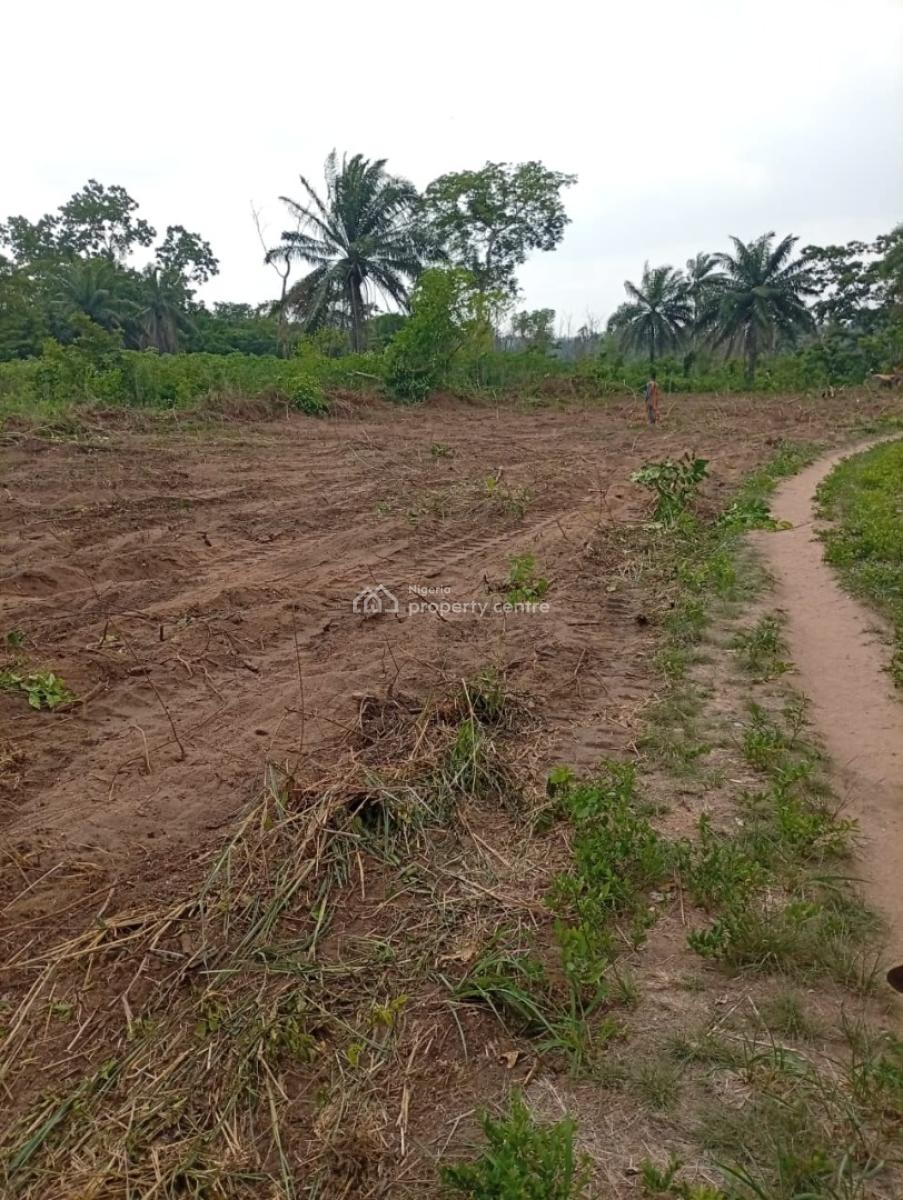 Invest in Wealth. Own a Farm. We Manage Everything, Obafemi Owode, Ogun, Commercial Land for Sale