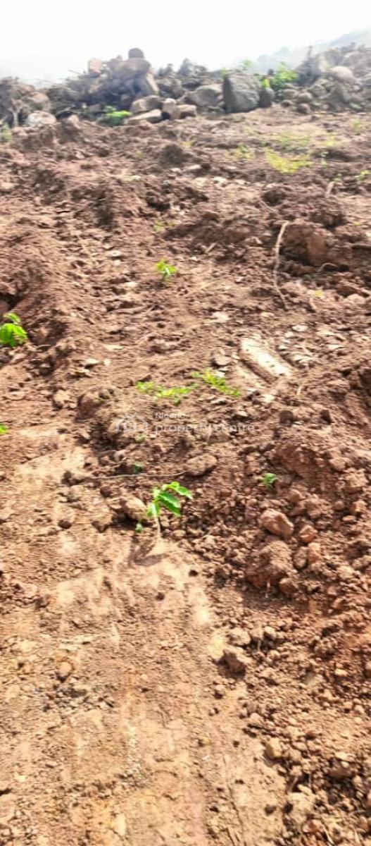 450sqm of Estate Plot, Maitama 2 After The Market, Maitama 2, Maitama District, Abuja, Residential Land for Sale