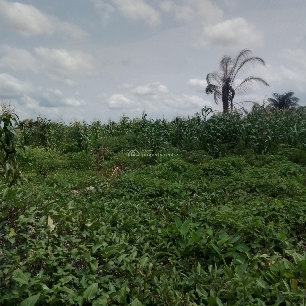 a Virgin Plot of Land, 91 Road, H Link, Festac Ii, Abule-ado, Amuwo Odofin, Lagos, Residential Land for Sale