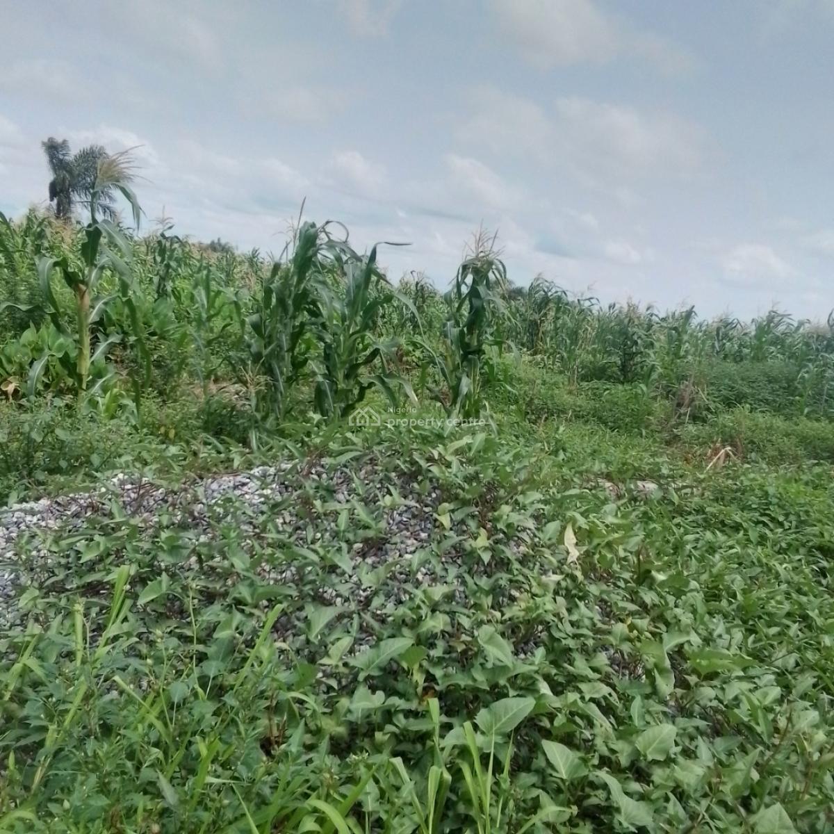 a Virgin Plot of Land, 91 Road, H Link, Festac Ii, Abule-ado, Amuwo Odofin, Lagos, Residential Land for Sale