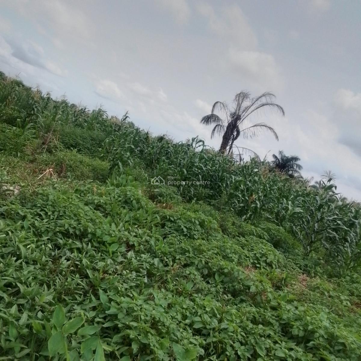 a Virgin Plot of Land, 91 Road, H Link, Festac Ii, Abule-ado, Amuwo Odofin, Lagos, Residential Land for Sale