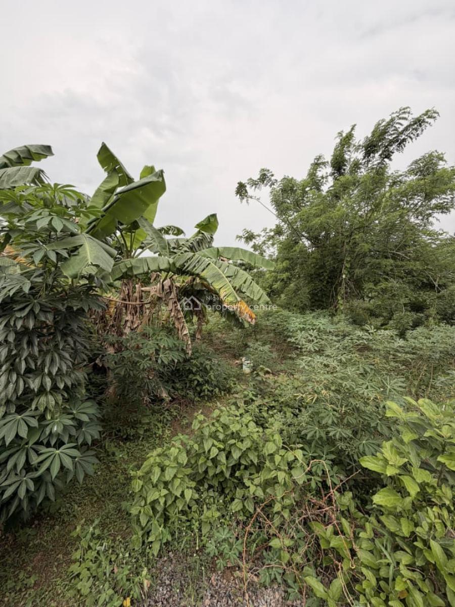 1371sqm Land Available, Kolapo Ishola Phase 2, Ibadan, Oyo, Land for Sale