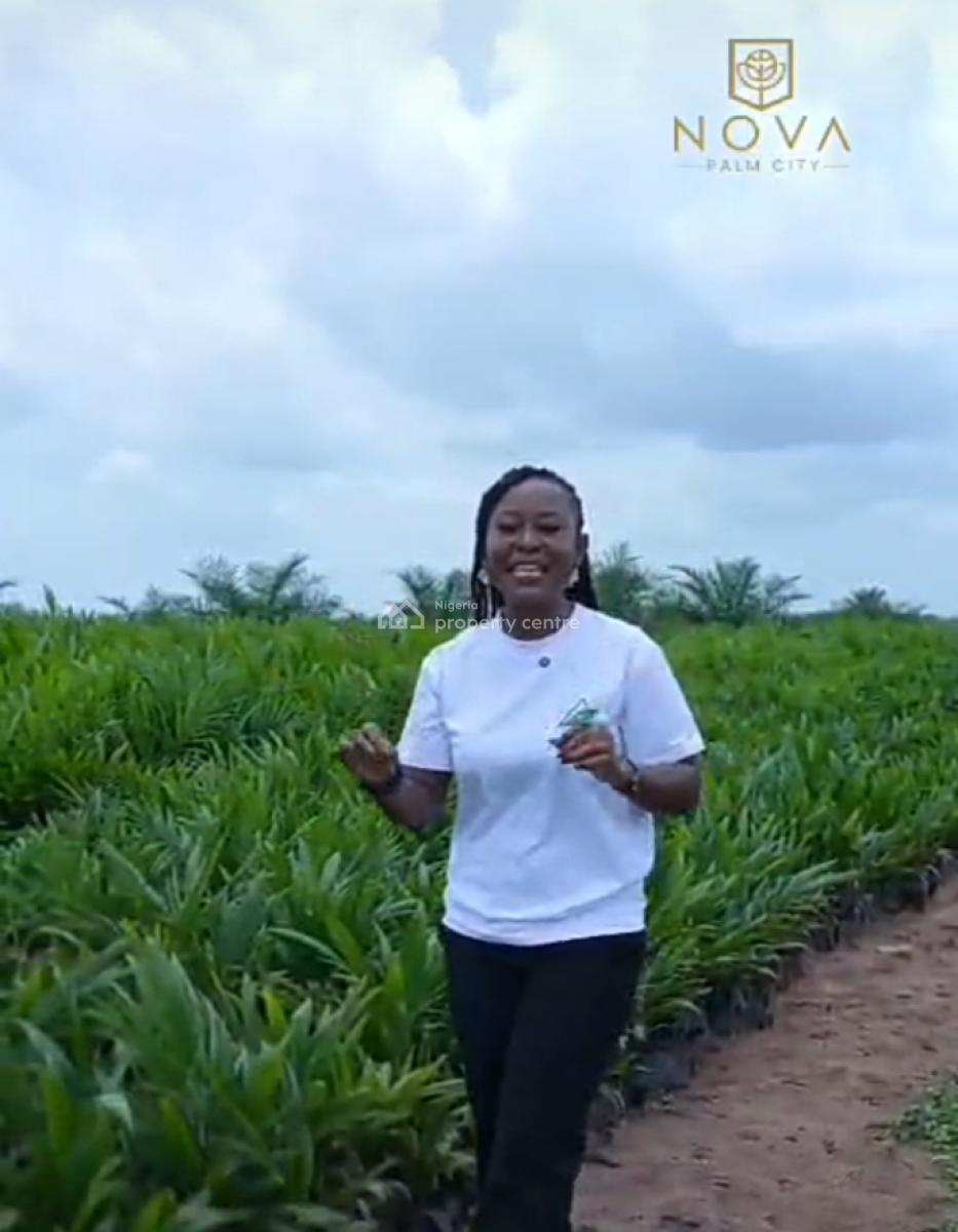 Own The Palm Plantation, Grow The Wealth, Harvest The Future, Agri-nova Palm City, Imala Anigbado, Abeokuta North, Ogun, Commercial Land for Sale