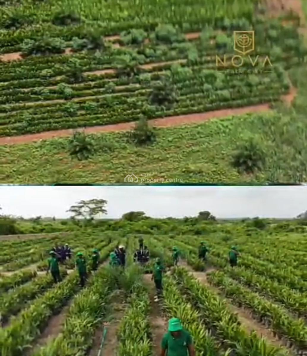 Own The Palm Plantation, Grow The Wealth, Harvest The Future, Agri-nova Palm City, Imala Anigbado, Abeokuta North, Ogun, Commercial Land for Sale