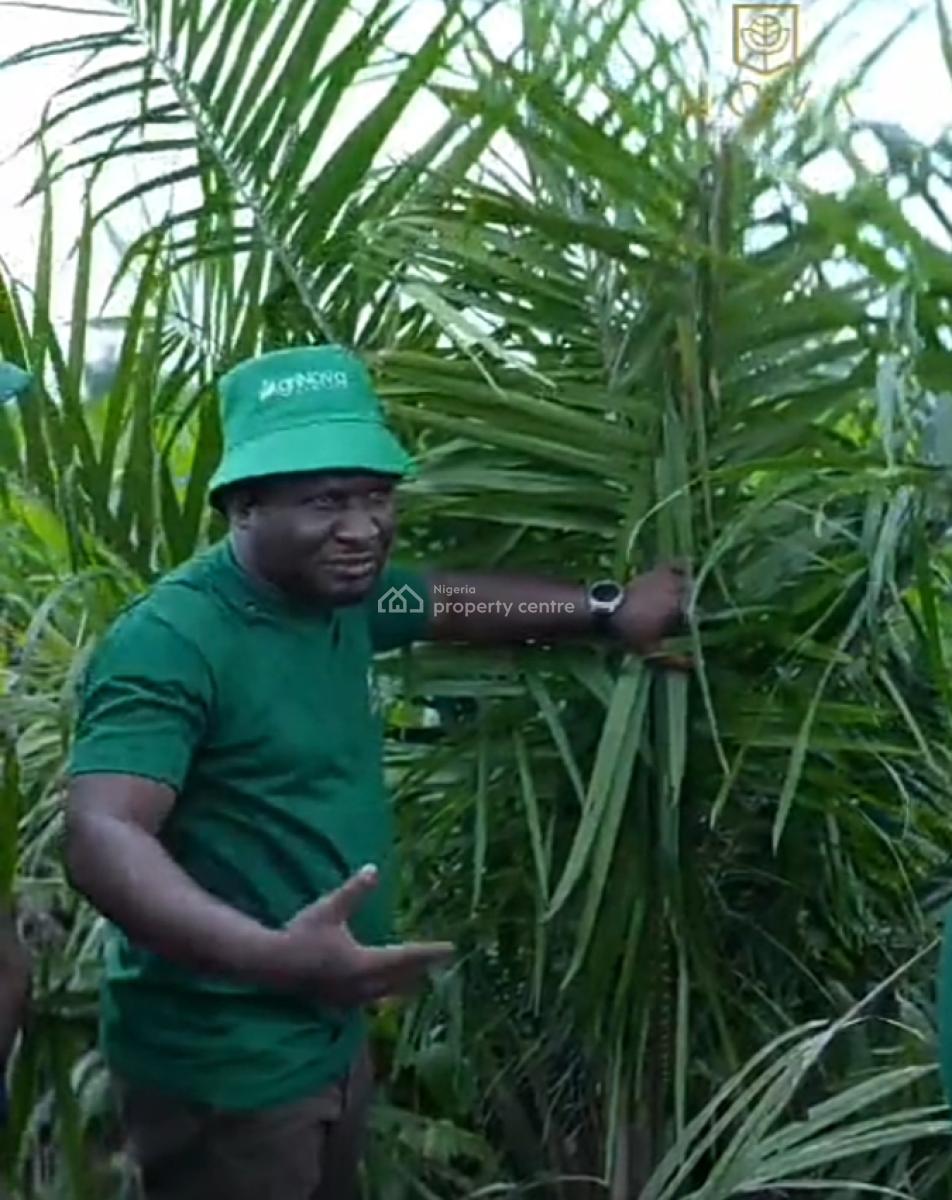 Own The Palm Plantation, Grow The Wealth, Harvest The Future, Agri-nova Palm City, Imala Anigbado, Abeokuta North, Ogun, Commercial Land for Sale