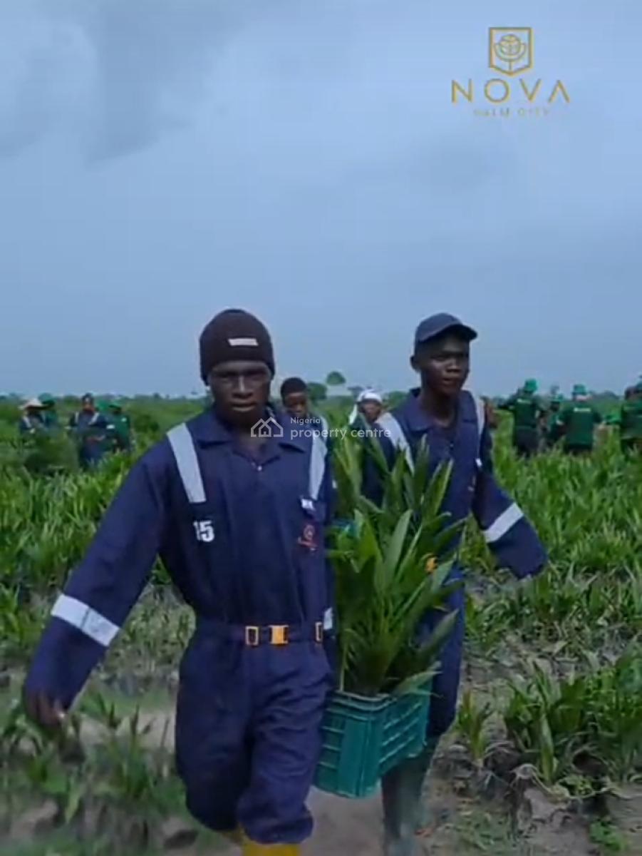 Own The Palm Plantation, Grow The Wealth, Harvest The Future, Agri-nova Palm City, Imala Anigbado, Abeokuta North, Ogun, Commercial Land for Sale