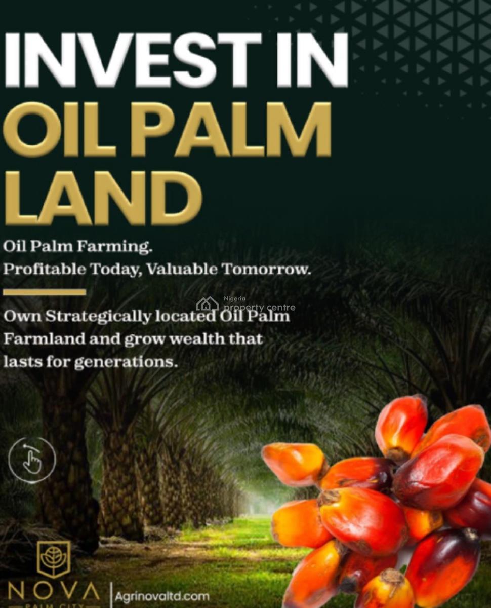 Own The Palm Plantation, Grow The Wealth, Harvest The Future, Agri-nova Palm City, Imala Anigbado, Abeokuta North, Ogun, Commercial Land for Sale