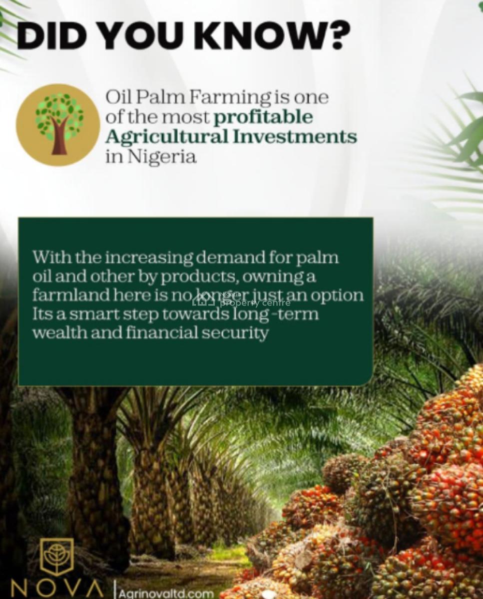 Own The Palm Plantation, Grow The Wealth, Harvest The Future, Agri-nova Palm City, Imala Anigbado, Abeokuta North, Ogun, Commercial Land for Sale