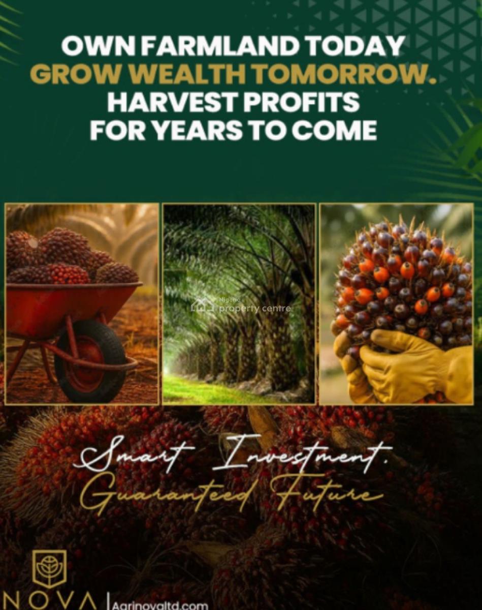 Own The Palm Plantation, Grow The Wealth, Harvest The Future, Agri-nova Palm City, Imala Anigbado, Abeokuta North, Ogun, Commercial Land for Sale