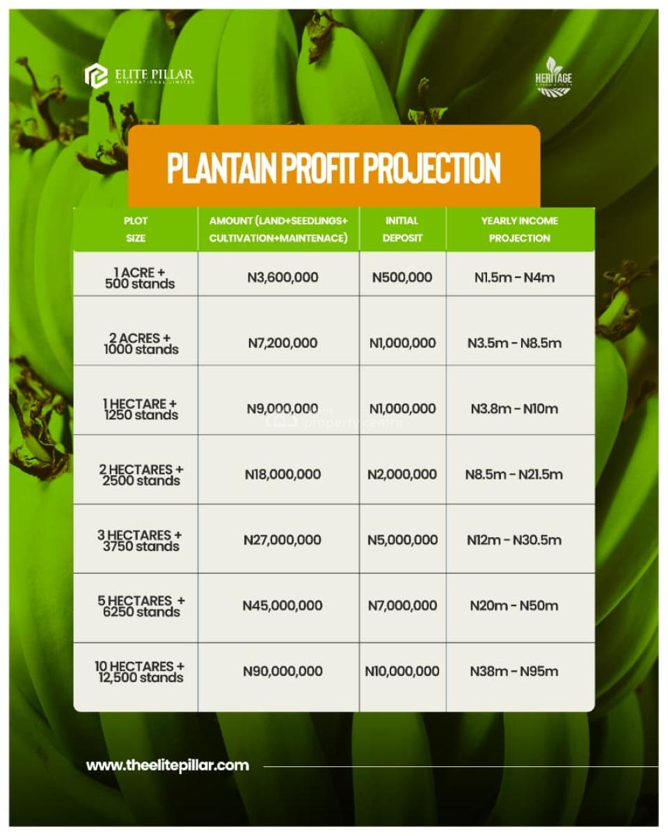 1acre of Plantain Farm: Invest and Earn Millions in Returns Annually, Alabata, Abeokuta North, Ogun, Commercial Land for Sale