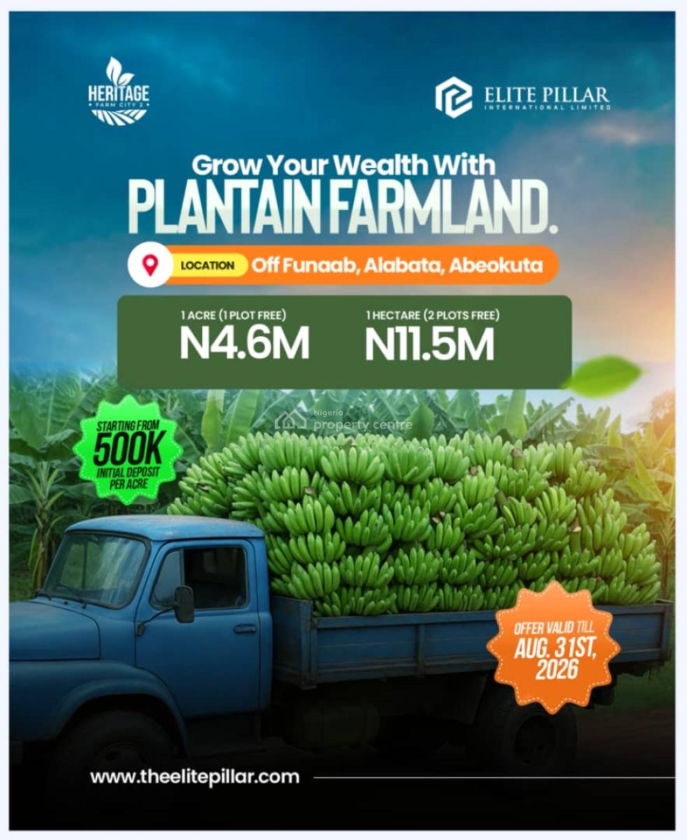 1acre of Plantain Farm: Invest and Earn Millions in Returns Annually, Alabata, Abeokuta North, Ogun, Commercial Land for Sale