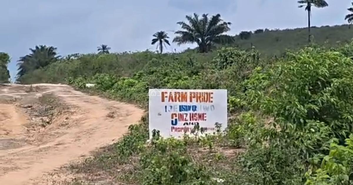 Govt Approved Agricultural Farmland Strategically Located, Isiwo Town, Epe Ijebuode Road, Ijebu Ode, Ogun, Commercial Land for Sale