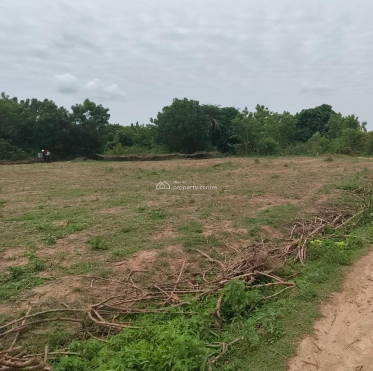 Govt Approved Agricultural Farmland Strategically Located, Isiwo Town, Epe Ijebuode Road, Ijebu Ode, Ogun, Commercial Land for Sale