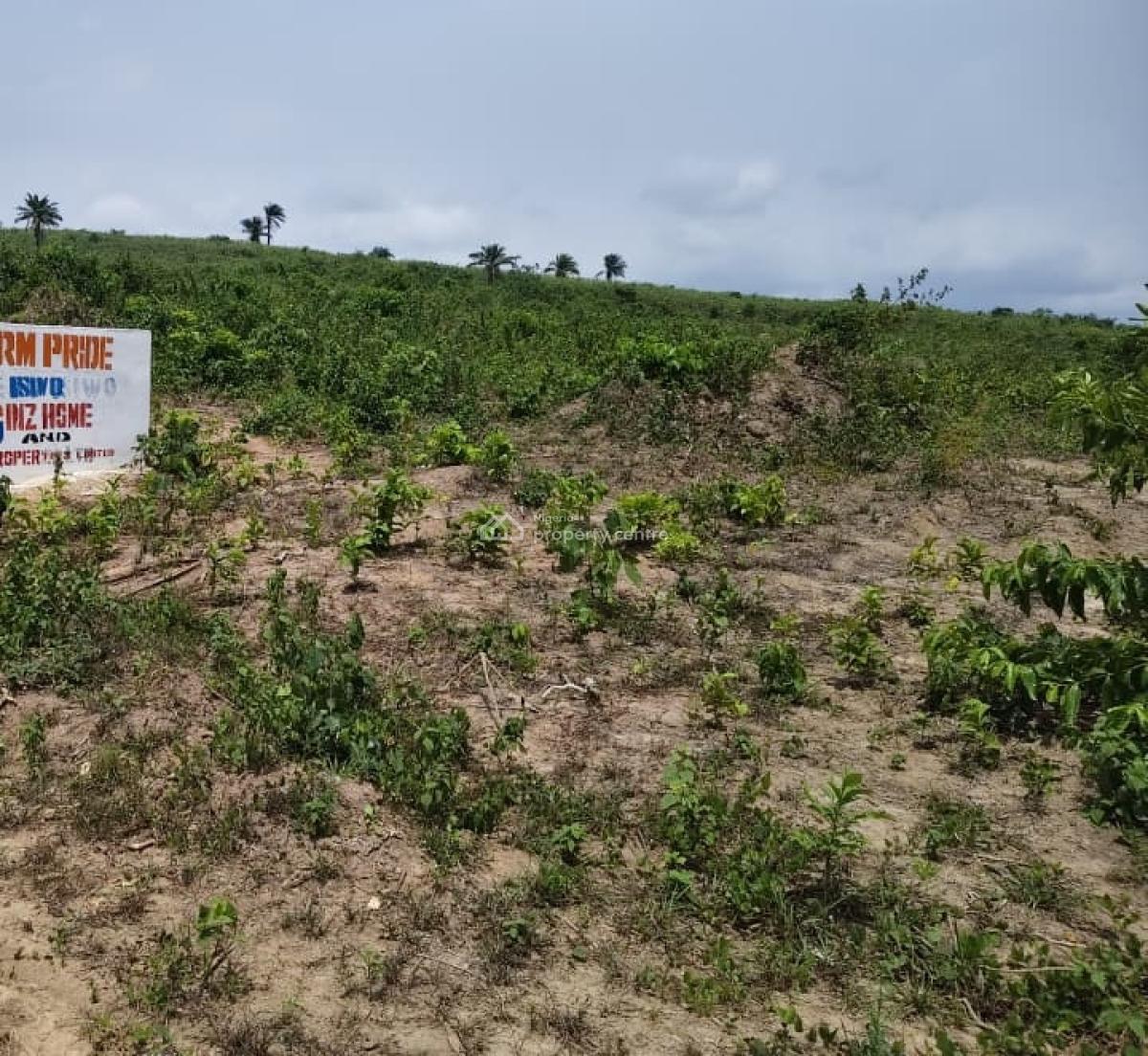 Affordable Farm Land, Isiwo, Sharing Boundary with, Epe, Lagos, Land for Sale