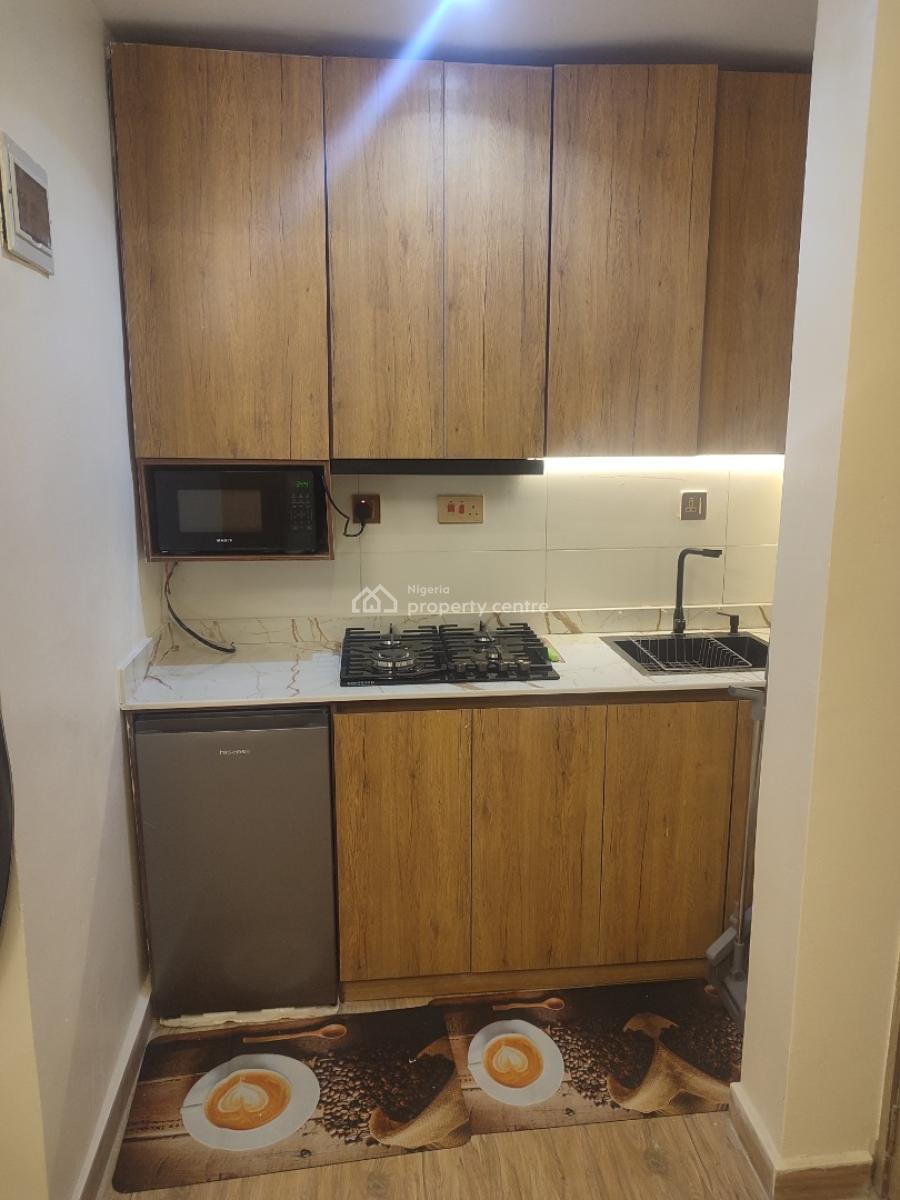 Investors Hotspot: Premium Fully Furnished Studio Apartment, Lawanson, Surulere, Lagos, Self Contain (single Rooms) for Sale