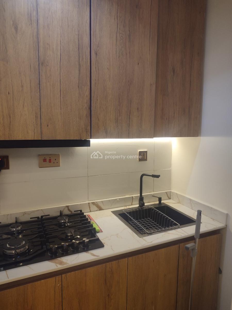 Investors Hotspot: Premium Fully Furnished Studio Apartment, Lawanson, Surulere, Lagos, Self Contain (single Rooms) for Sale