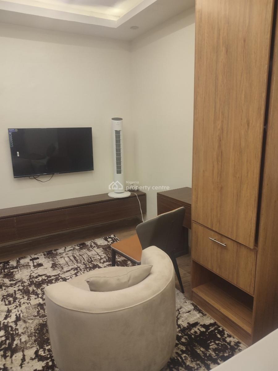 Investors Hotspot: Premium Fully Furnished Studio Apartment, Lawanson, Surulere, Lagos, Self Contain (single Rooms) for Sale