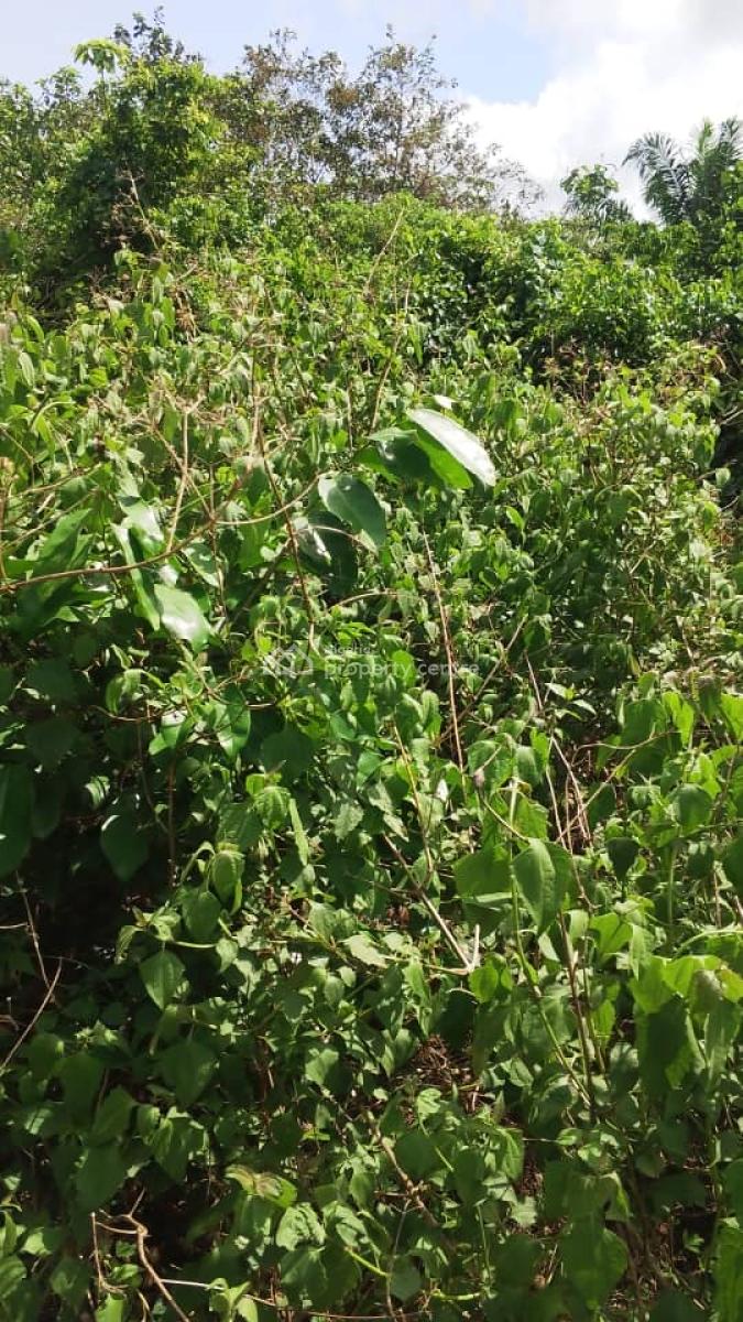 Agriculture Land( C of O), Off Lgbodu Road Epe, Epe, Lagos, Commercial Land for Sale
