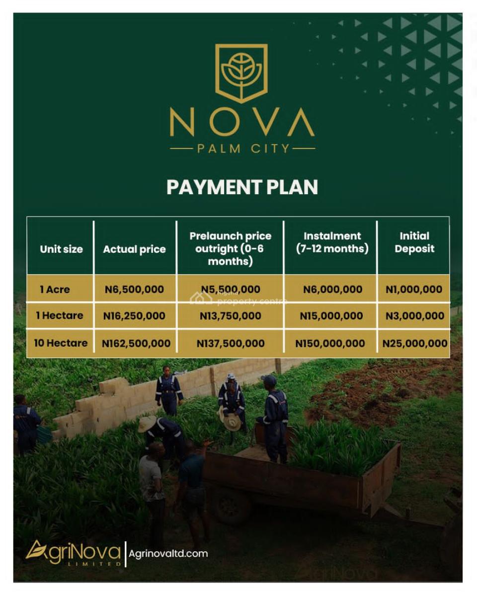 Palm Oil Farm, Nova Palm City, Imala-anigbado, Abeokuta North, Ogun, Tank Farm for Sale
