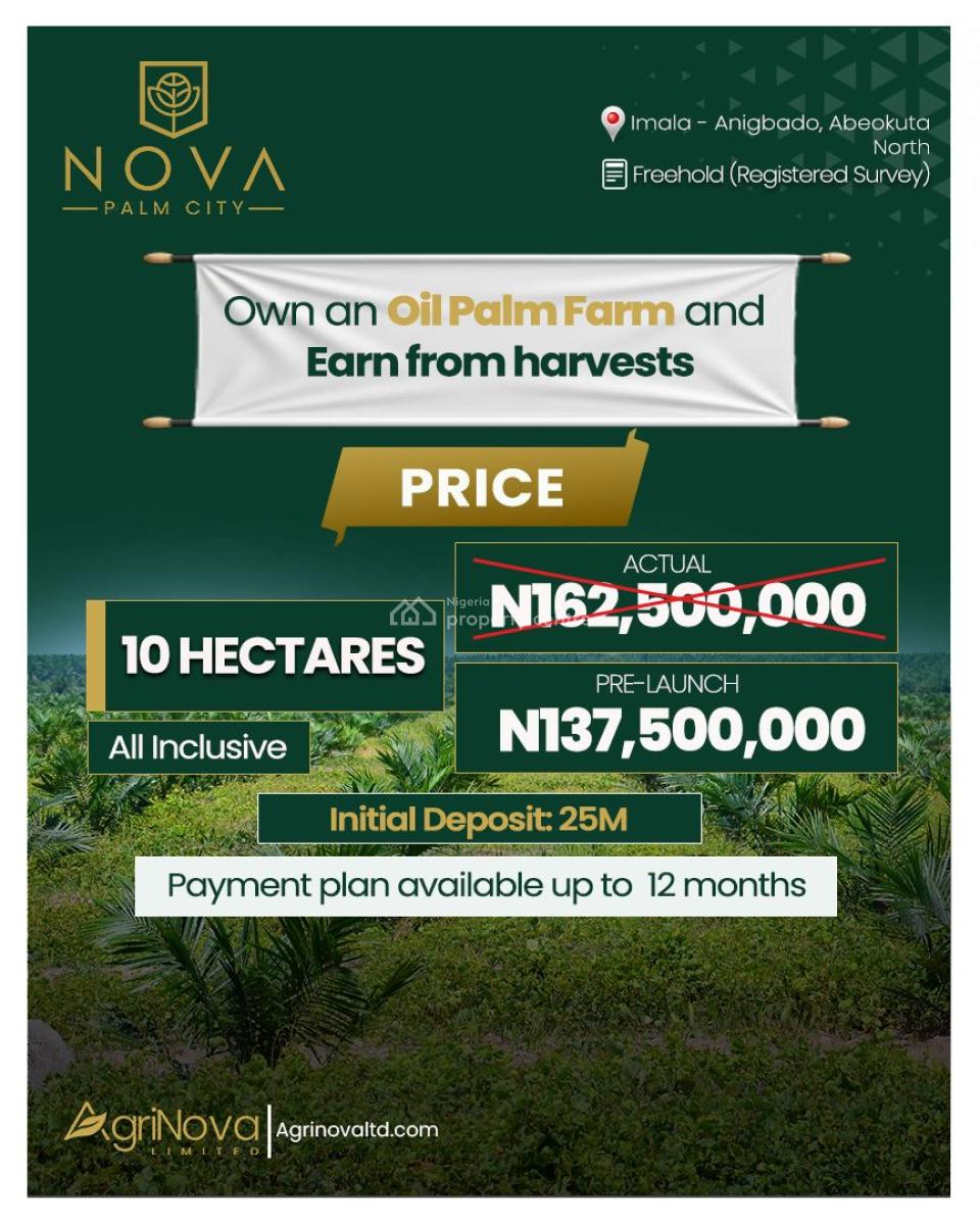 Palm Oil Farm, Nova Palm City, Imala-anigbado, Abeokuta North, Ogun, Tank Farm for Sale