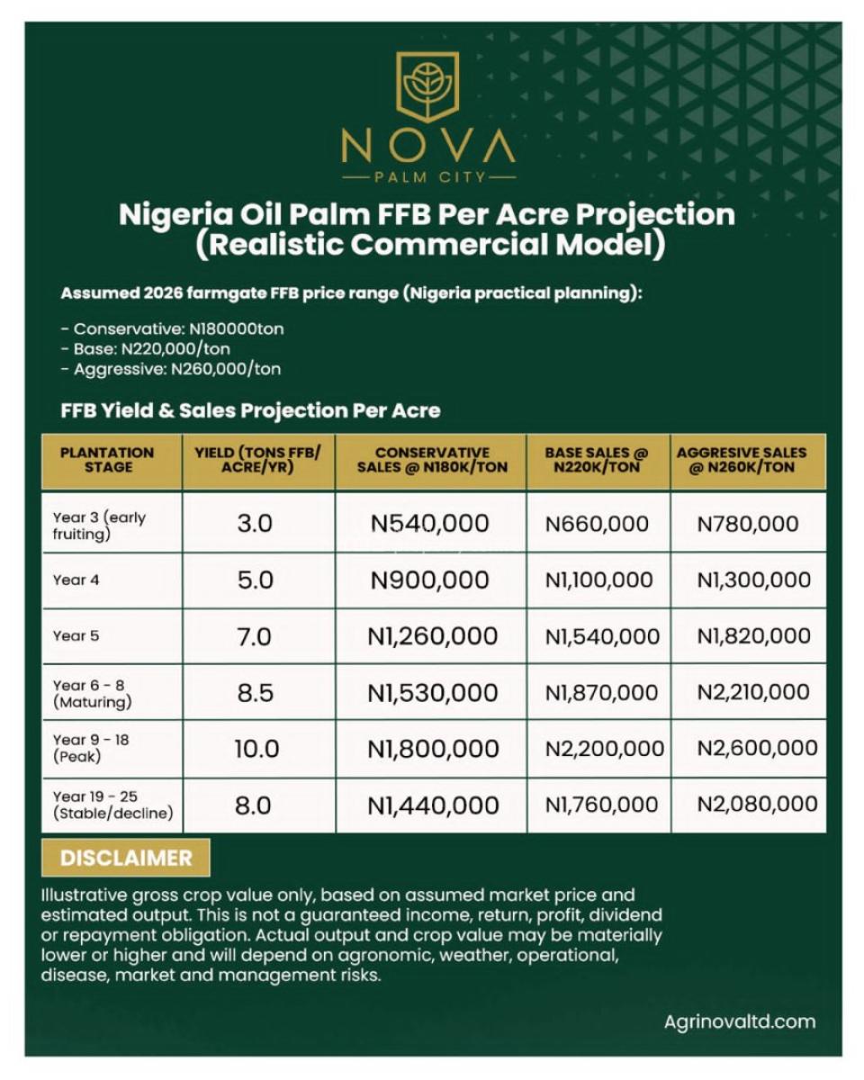 Palm Oil Farm, Nova Palm City, Imala-anigbado, Abeokuta North, Ogun, Tank Farm for Sale