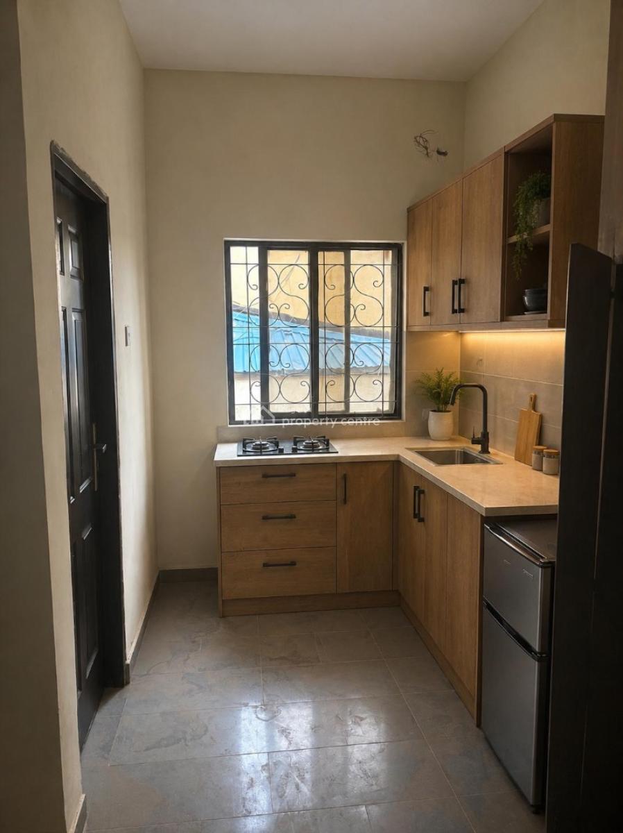 Luxurious Massive 1 Bedroom Flat, Garki, Abuja, Flat / Apartment for Rent