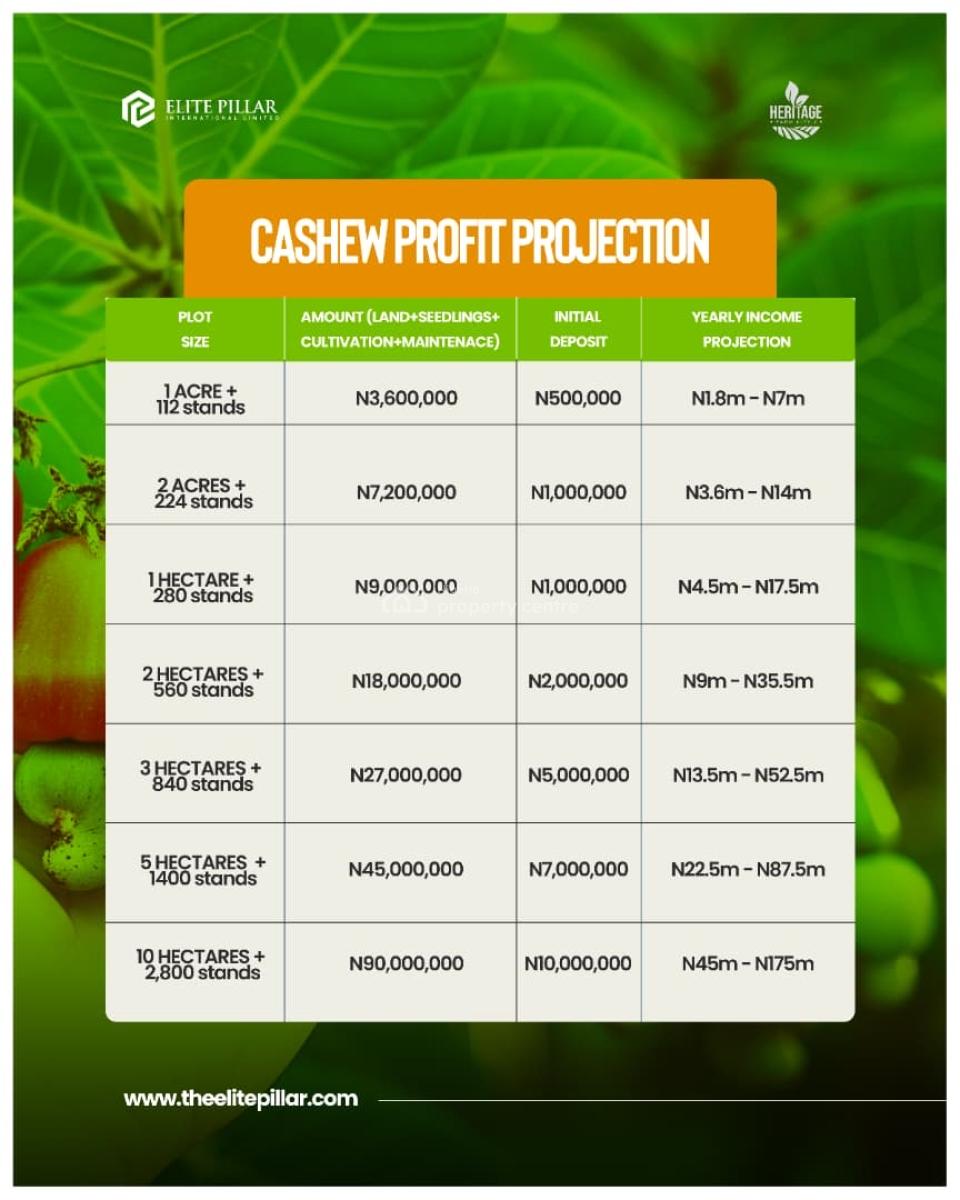 1 Acre of Cashew Farm: Annual Return of N4.5m Above. You Need This!, Alabata, Abeokuta North, Ogun, Mixed-use Land for Sale